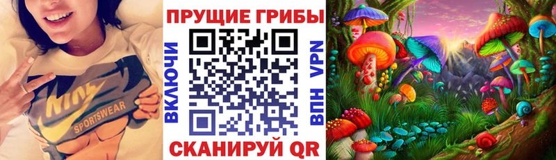 Псилоцибиновые грибы ЛСД  Купить закладки  Шагонар 